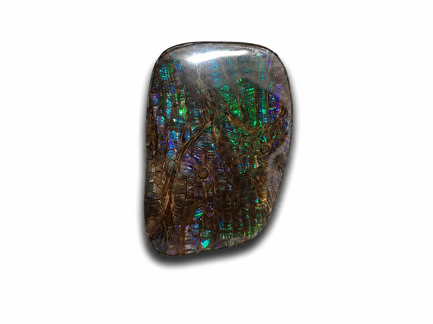Freeform Ammolite Gemstone - CG77