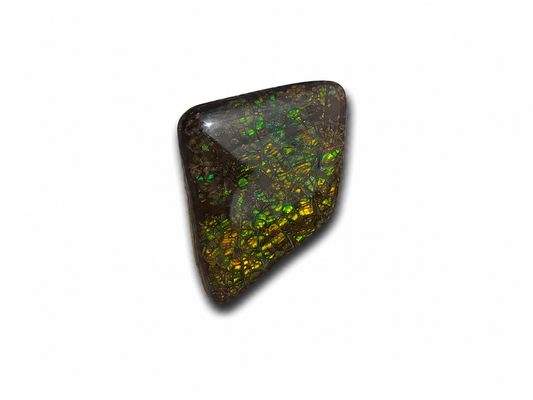 Freeform Ammolite Gemstone - CG78