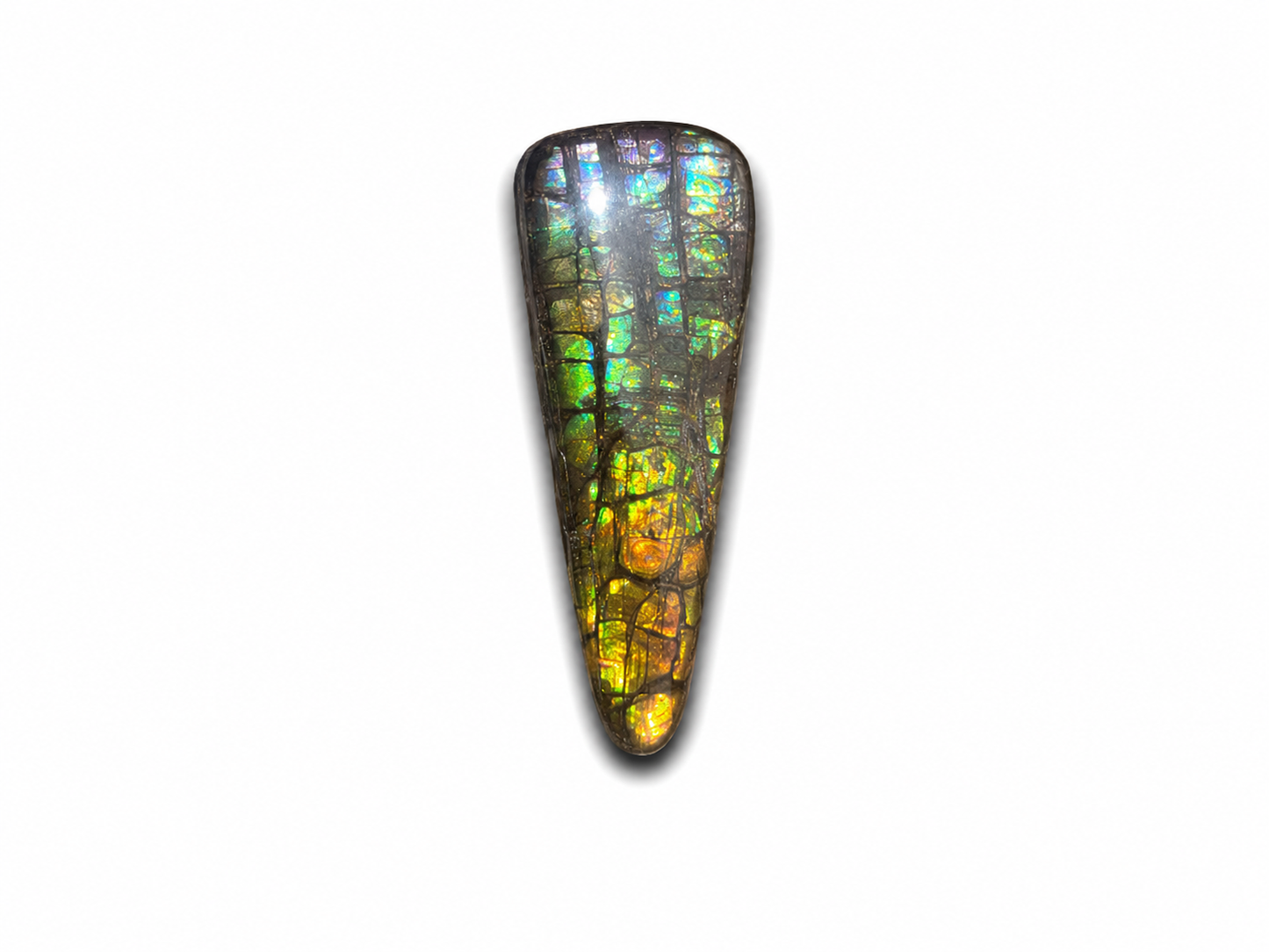 Freeform Ammolite Gemstone - CG79