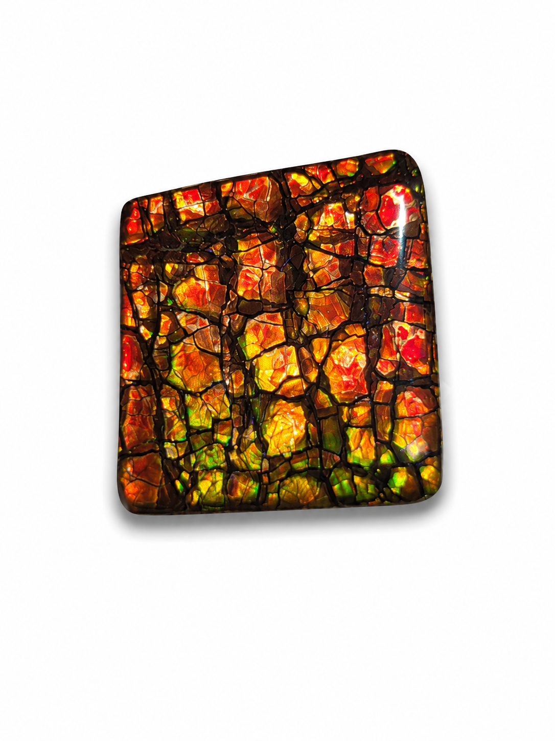 Freeform Ammolite Gemstone - CG08