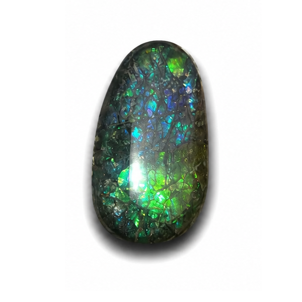 Freeform Ammolite Gemstone - CG81