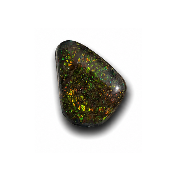 Freeform Ammolite Gemstone - CG82