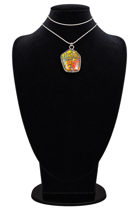 Natural Ammolite Silver Pendant - CGJP13
