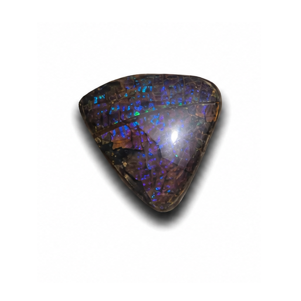 Freeform Ammolite Gemstone - CG84
