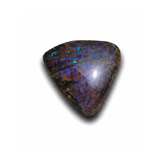 Freeform Ammolite Gemstone - CG84