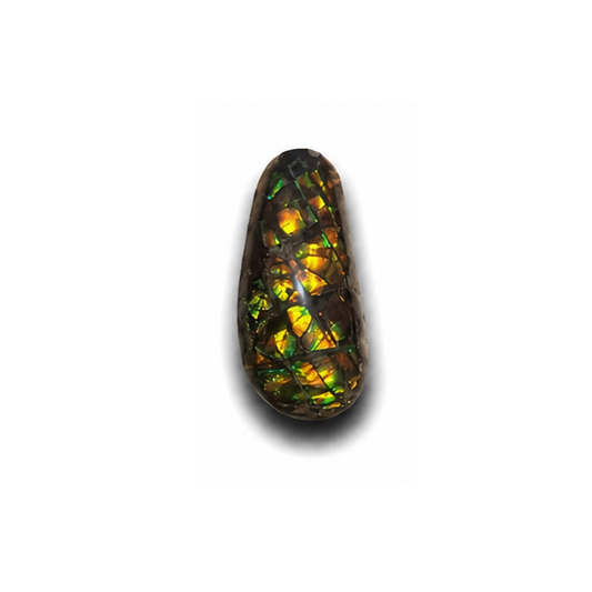 Freeform Ammolite Gemstone - CG85