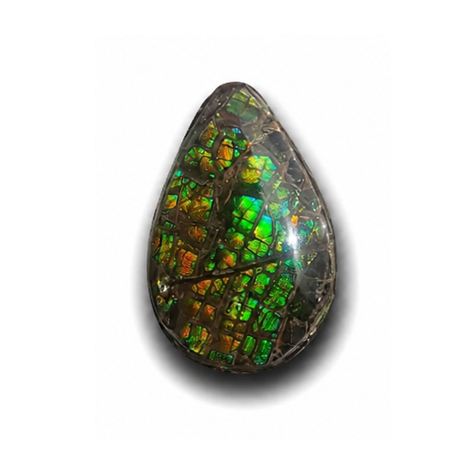 Teardrop Ammolite Gemstone - CG86