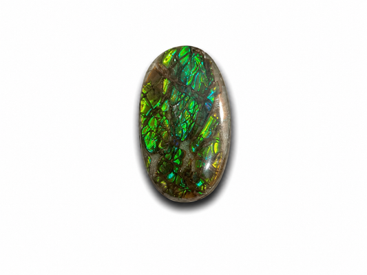 Oval Ammolite Gemstone - CG87