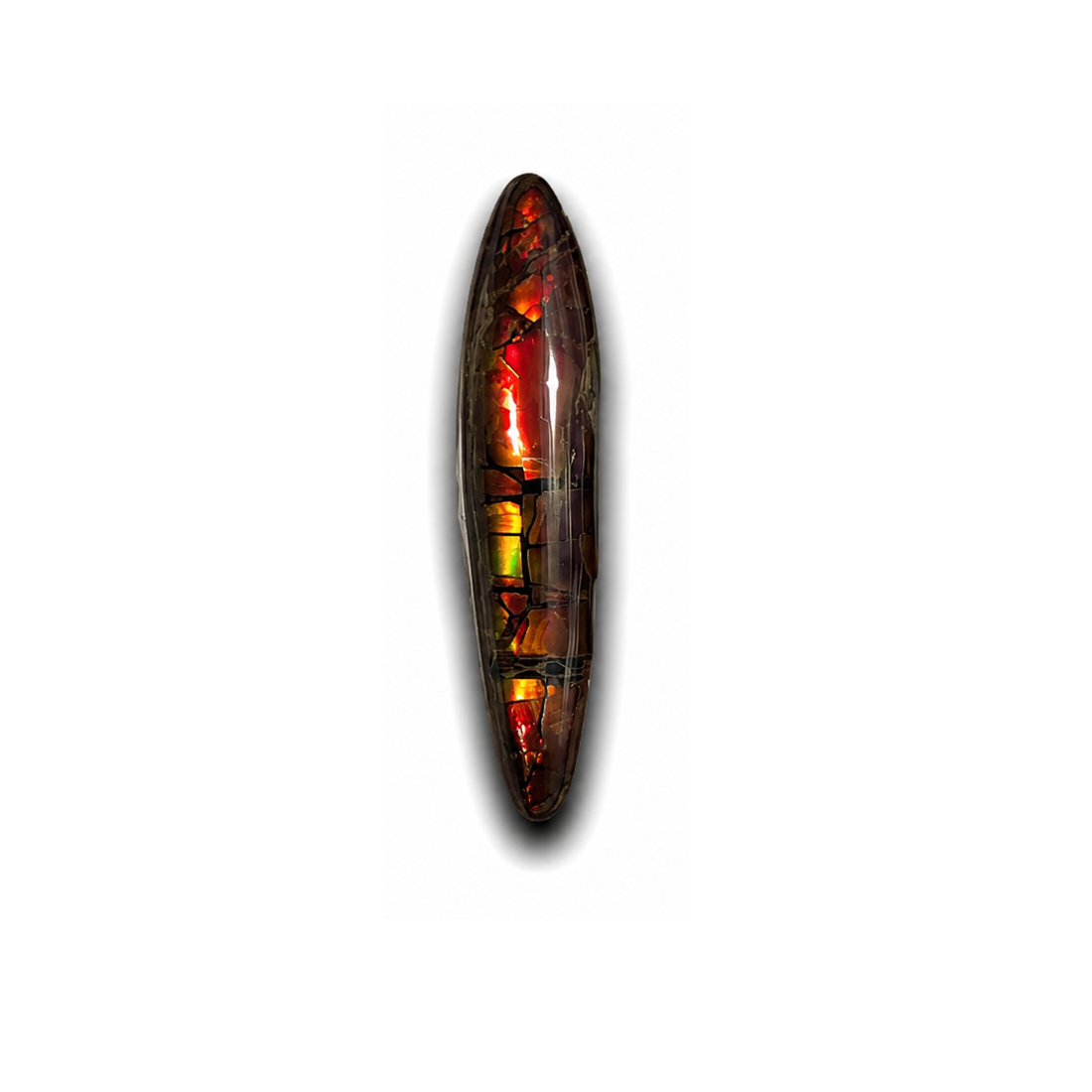 Ammolite Gemstone - CG88