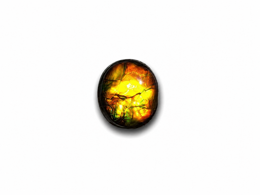 Double-Sided Ammolite Gemstone with Pyrite - CG89