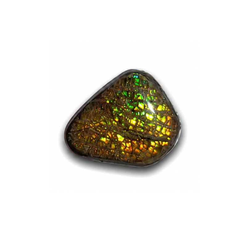 Freeform Ammolite Gemstone - CG90