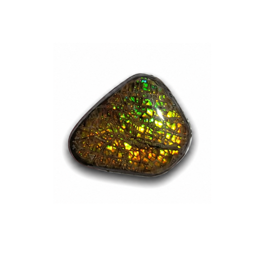 Freeform Ammolite Gemstone - CG90
