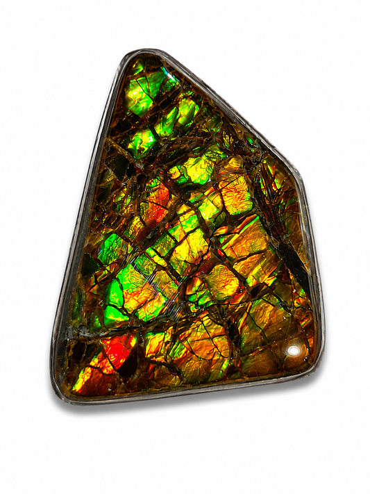 Ammolite Gemstone