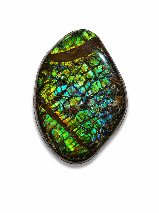 Ammolite Gemstone