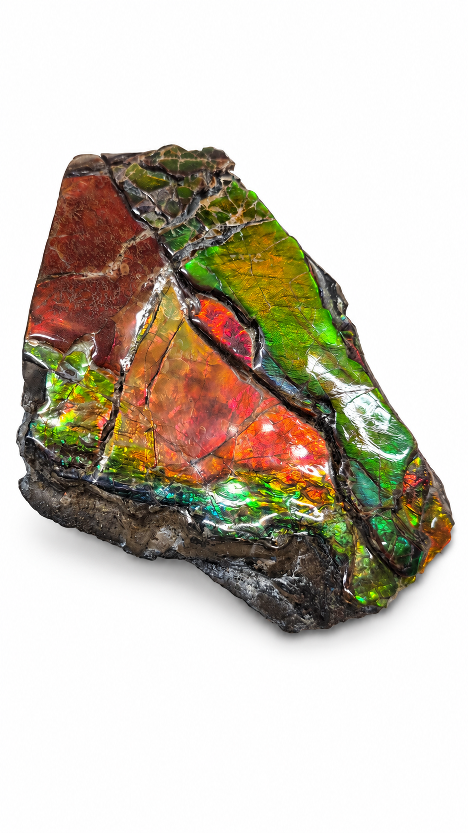 Multi-Layered Ammolite Specimen with Dendritic Pattern CGSS6 with red, orange, gold and green colour