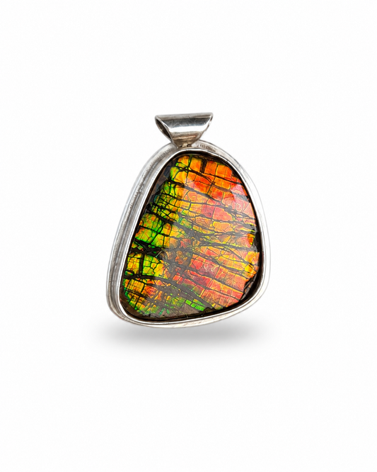 Natural Ammolite Silver Pendant - CGJP5