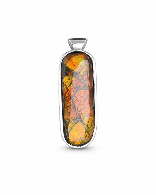 Natural Ammolite Silver Pendant - CGJP6