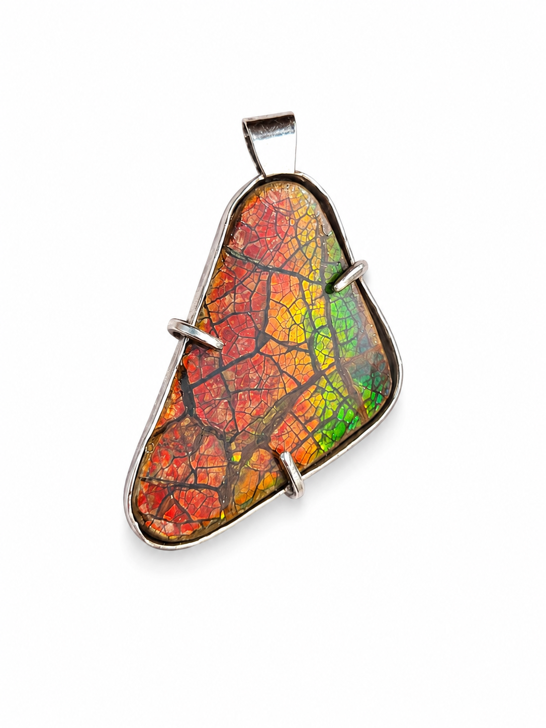 Natural Ammolite Silver Pendant - CGJP8