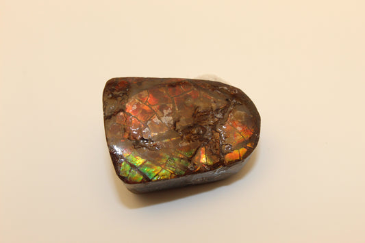 Ammolite 10
