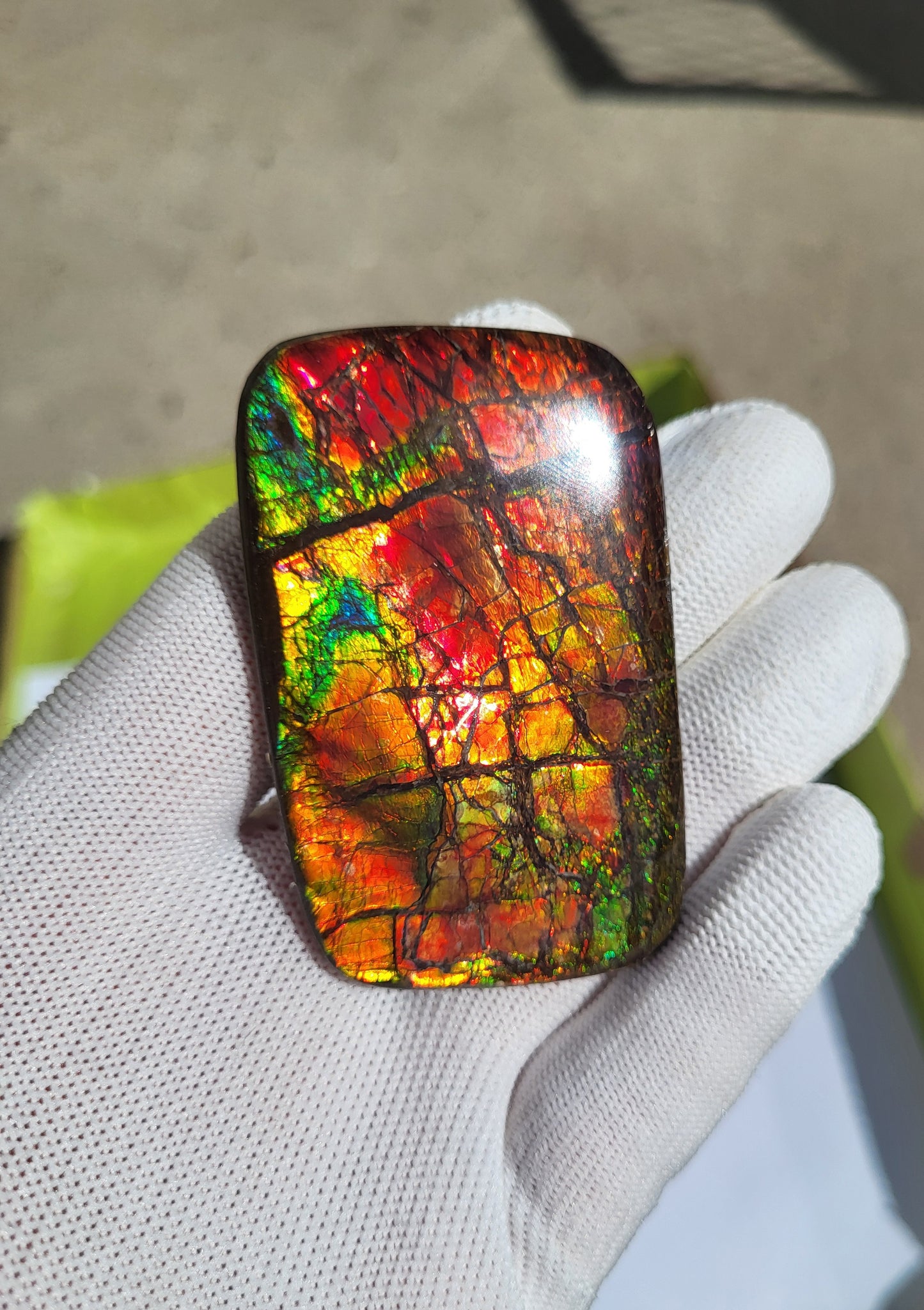 Freeform Ammolite Gemstone - CG01