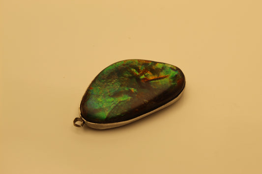 Ammolite 14